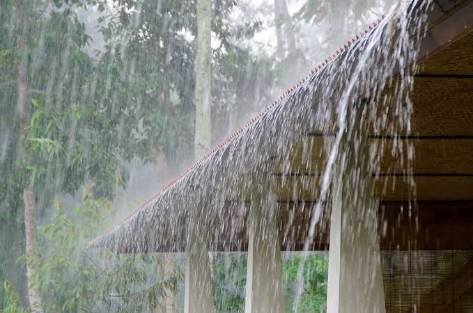 Best Rain Alert App for Accurate Weather Notifications